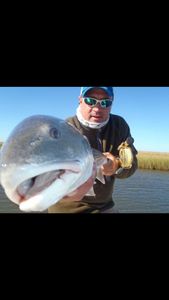 Winter time Red Fish