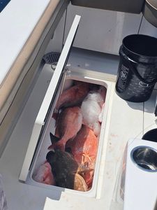 Best fishing trip at Panama City Beach