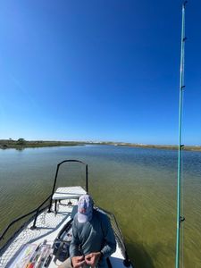 Fishing in FL