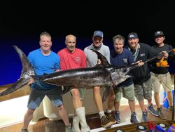 Impressive catch of a blue marlin fish during fishing trip at Panama City Beach