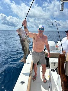Gag Grouper caught while fishing in Panama City Beach