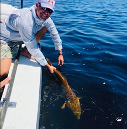 Redfish Fishing in Florida