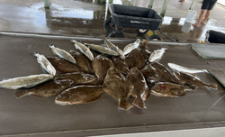 Fishermen with their impressive catch at Matagorda