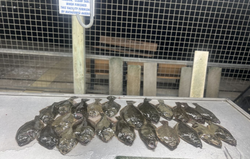 Anglers fishing in Matagorda