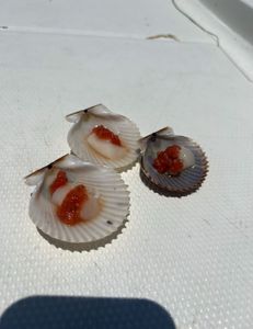 A little scallop taste testing on the water 