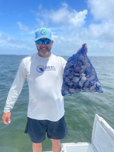 Bag of Fresh Florida Scallops from Crystal River