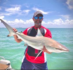 Blacktip on the line! 🦈 #SharkFishing