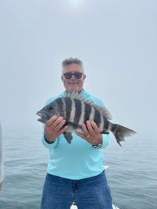Striped beauty landed! 🎣 #Sheepshead