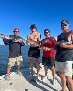5 spotted weakfish, redfish, and other fish species caught in a fishing trip in FL