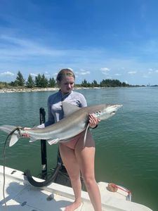 A single Atlantic Sharpnose Shark, a 34-inch fish, caught in Hernando