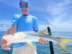 Snook caught in Crystal River