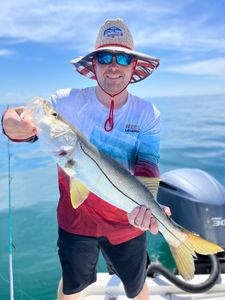 Crystal River Snook Fishing