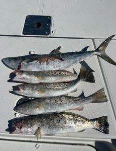 Inshore Saltwater Fishing