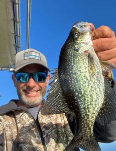 A single crappie fish caught while fishing in Florida