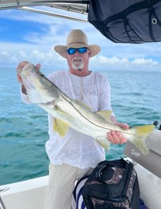 Snook fishing