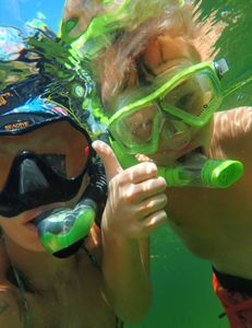 Scalloping in crystal river 