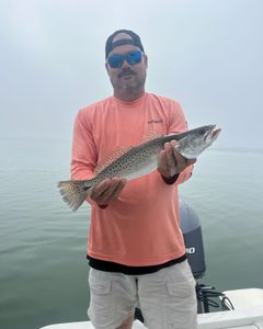 Beautiful redfish 