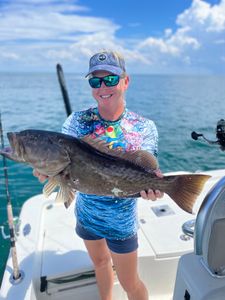 Gag grouper, a large fish caught in Hernando