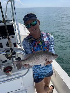 Grey Snapper fish caught while fishing in FL