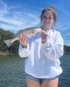 Redfish caught in Hernando