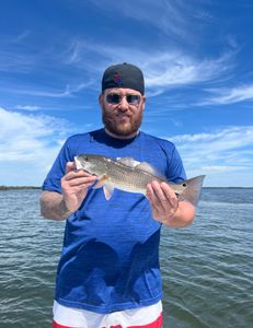 Redfish caught in Hernando