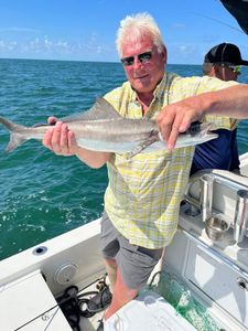 A great catch from Hernando