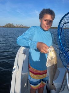 A single Redfish caught in Hernando