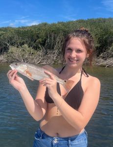 Redfish caught in FL
