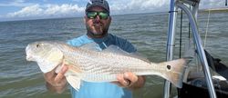 Redfish caught in Hernando