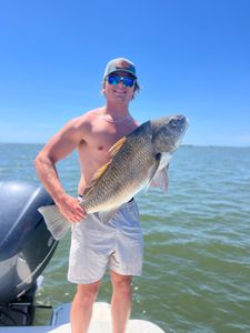 A single 17-inch fish caught in Hernando