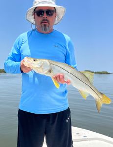 A single snook fish caught in Hernando