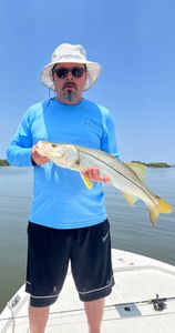 Snook fish caught in Hernando