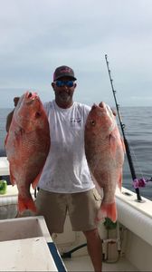 Two southern black bream, 25 inches long, caught in FL