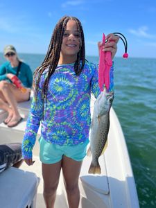 Spotted weakfish, 28-inch fish caught while fishing in FL