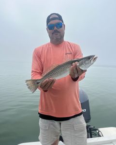 Spotted weakfish caught in Hernando