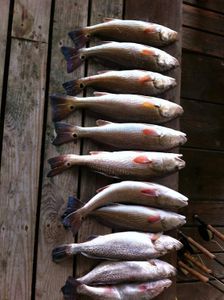 9 fishing and hunting at port isabel