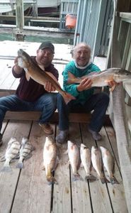 A group of 9 fish caught by 2 people fishing in Port Isabel