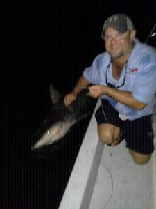 Fish On! Shark Fishing In The Gulf of Mexico! 