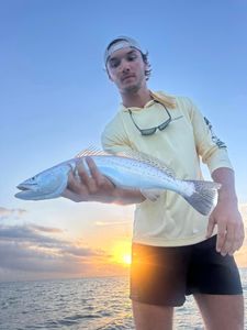 Fish in the front, sun in the back.