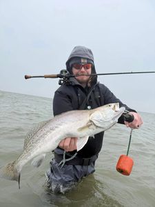 Get in the water and take a photo of this beauty!
