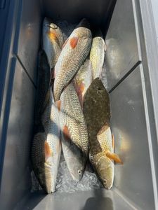 Join and limit out on Texas fishing charters