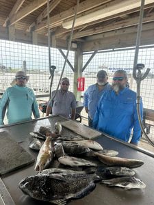 Three big fish caught with fishing and hunting techniques in Matagorda