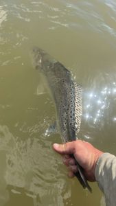 A lone angler fishing in TX