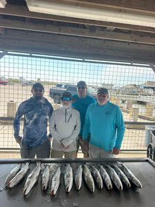 Anglers with spotted weakfish catch in Matagorda