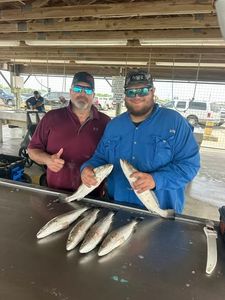 Fresh caught fish displayed on cleaning table at Matagorda TX fishing dock