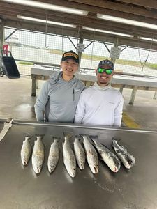 Fresh caught fish displayed on cleaning station at Matagorda TX fishing dock