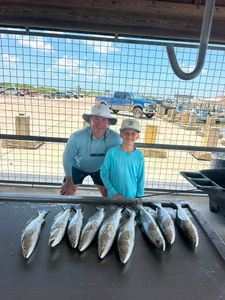Fresh caught fish displayed on cleaning table at Matagorda TX fishing dock