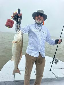 Redfish catch displayed on fishing boat in Matagorda TX