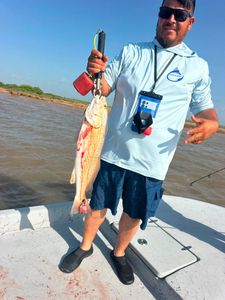 Redfish caught while fishing in Matagorda TX waters