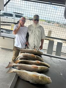 Fresh caught redfish displayed on cleaning table at Matagorda TX fishing dock